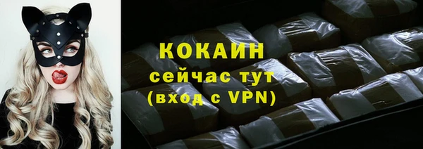 стаф Богородицк