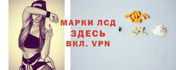 стаф Богородицк