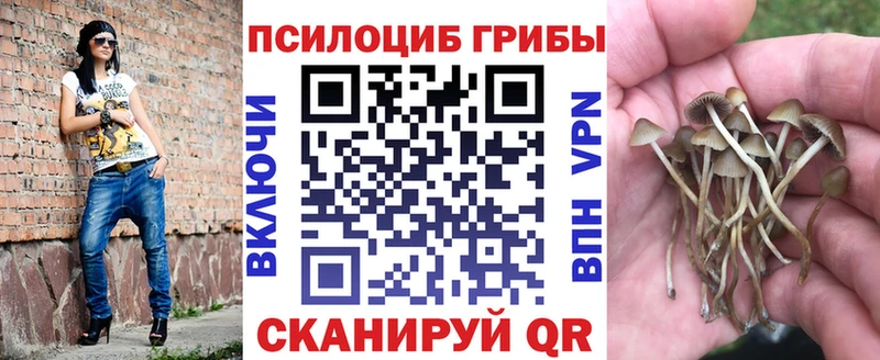Купить где  Валуйки  Псилоцибиновые грибы MAGIC MUSHROOMS 